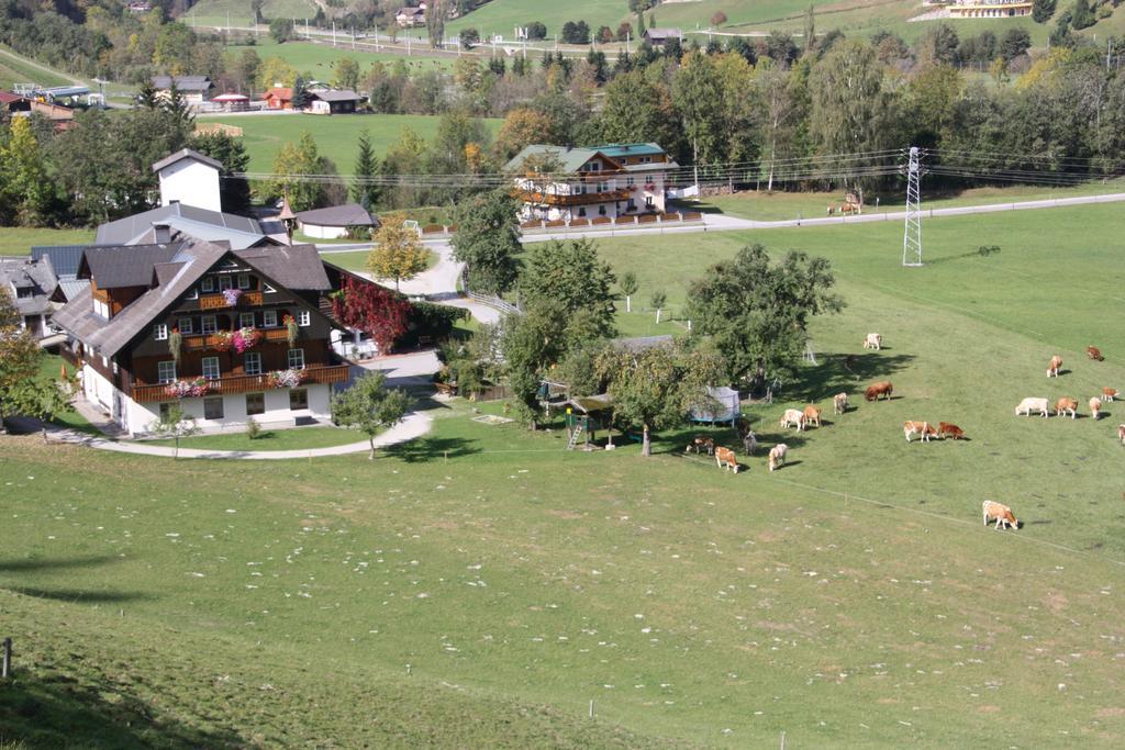 Weitgasserhof سخلادميخ المظهر الخارجي الصورة