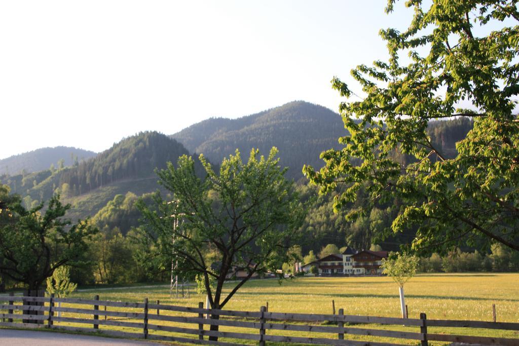 Weitgasserhof سخلادميخ المظهر الخارجي الصورة