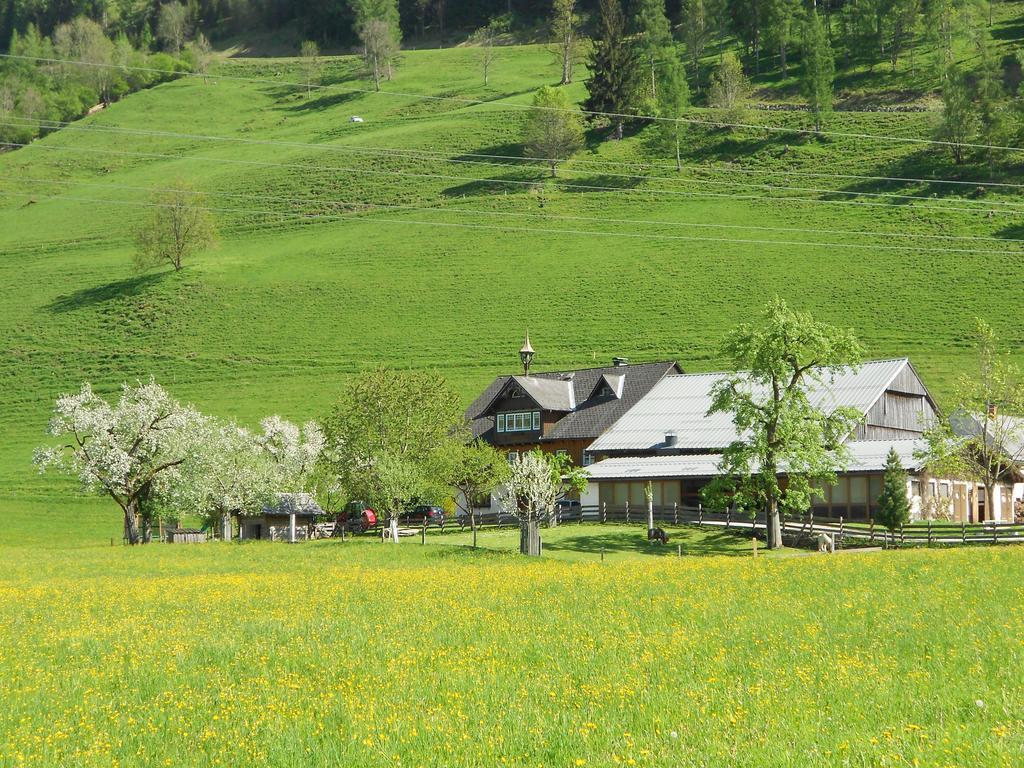 Weitgasserhof سخلادميخ المظهر الخارجي الصورة